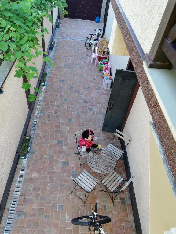 photo6