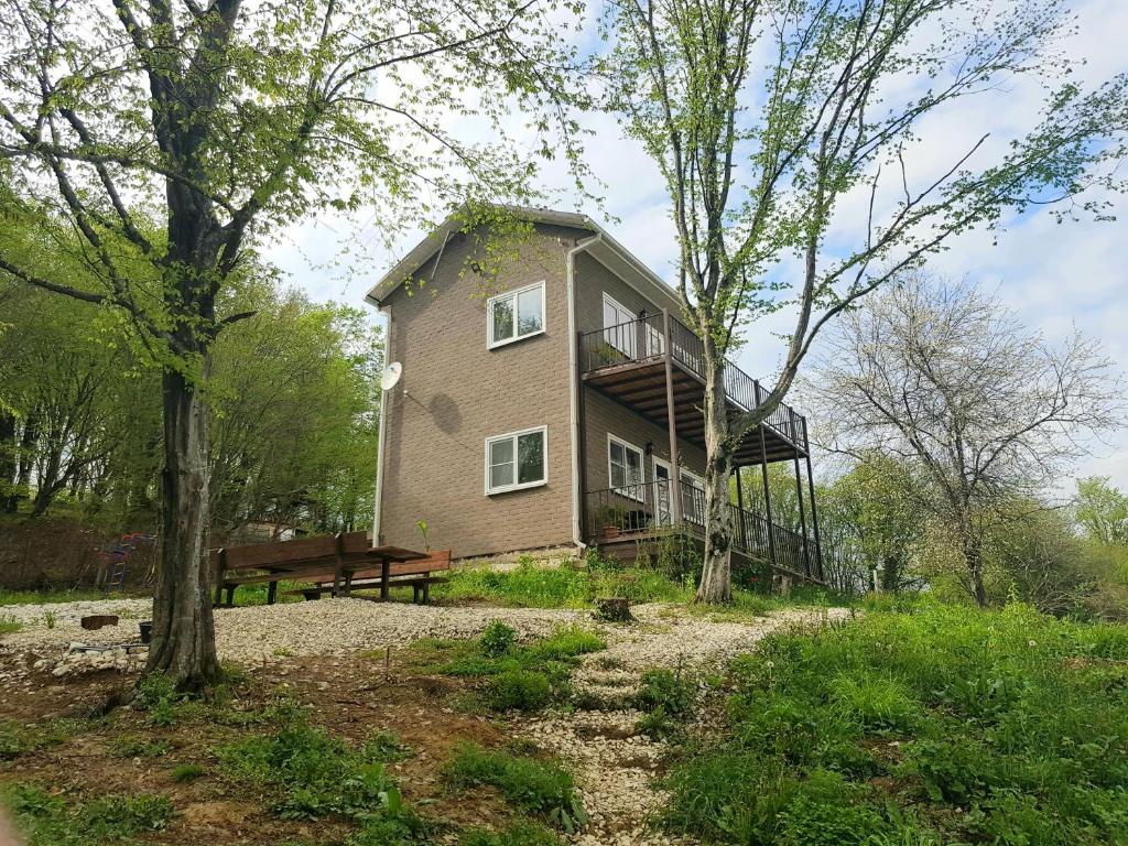 photo1