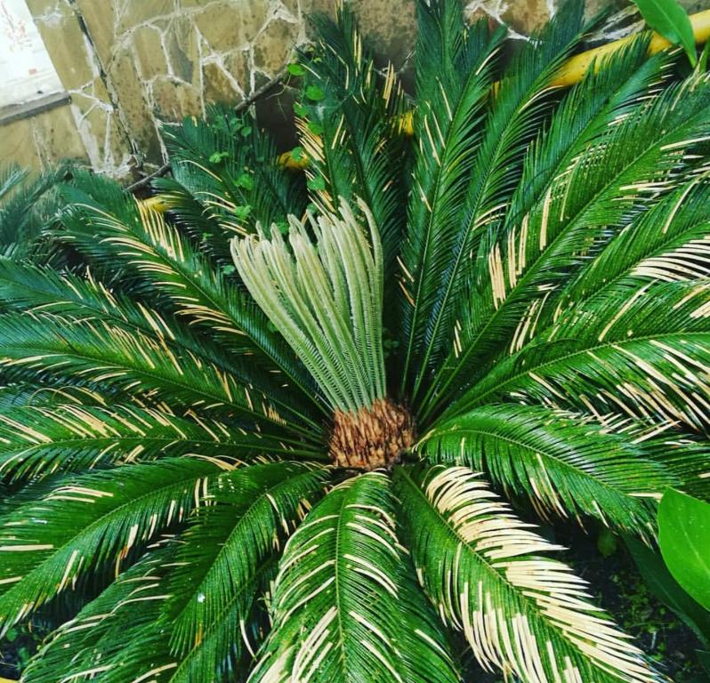 photo6