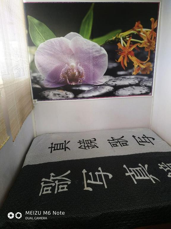 photo6