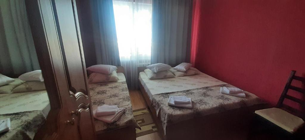 photo1