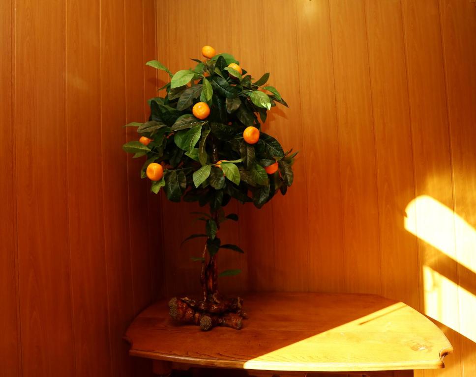 photo6