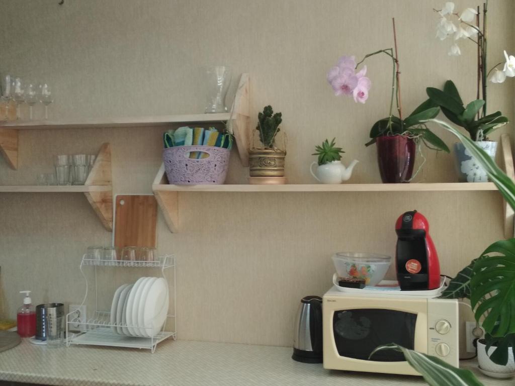 photo5