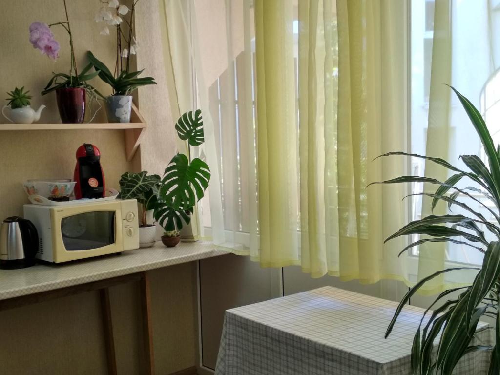 photo6