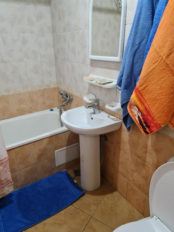 photo6