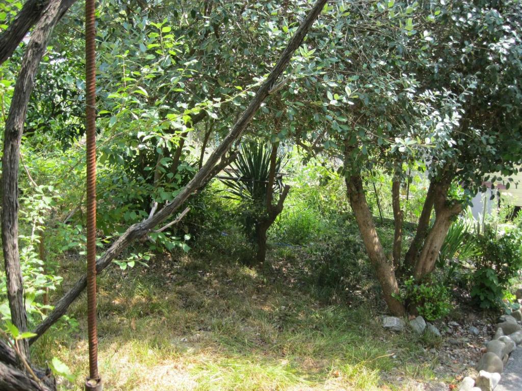 photo1