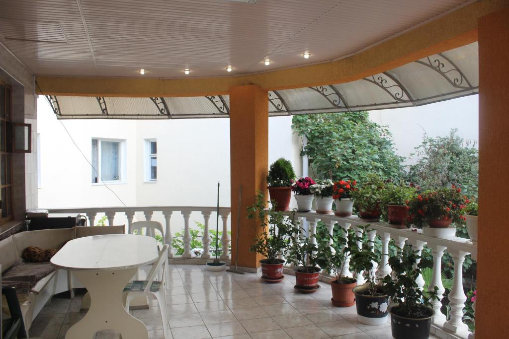 photo3