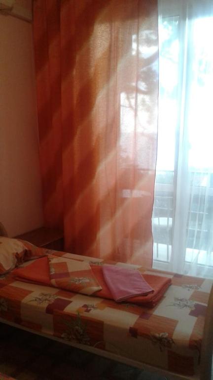 photo5