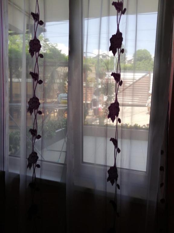 photo2