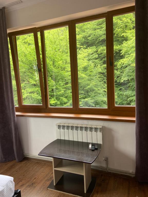 photo6