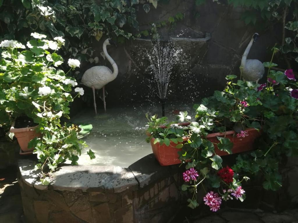 photo2