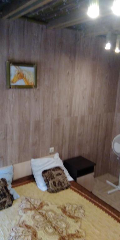 photo1