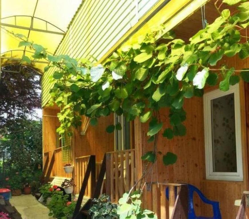 photo2