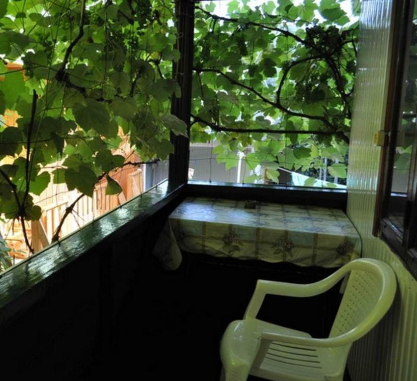 photo3