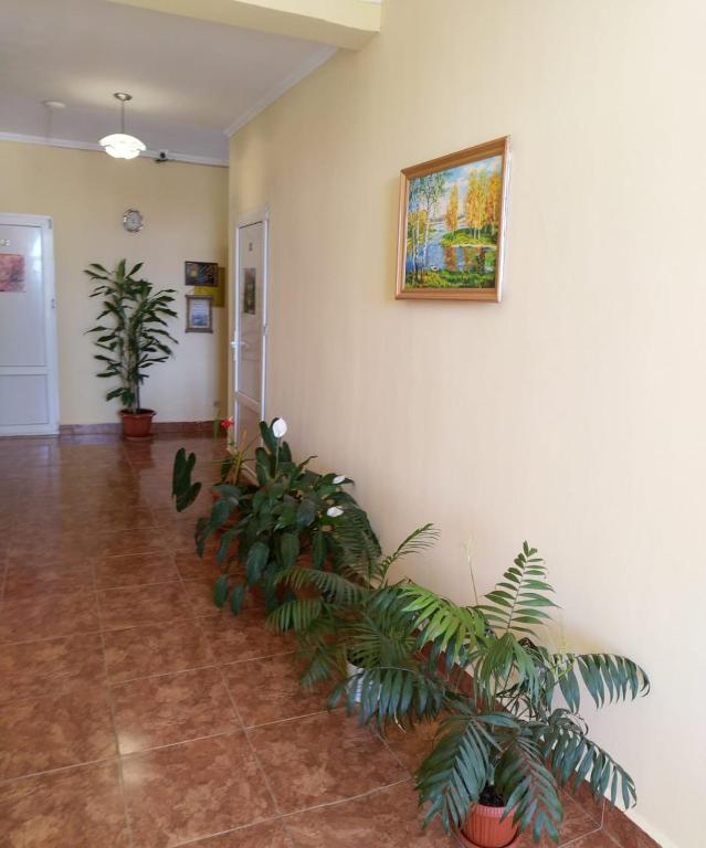 photo6
