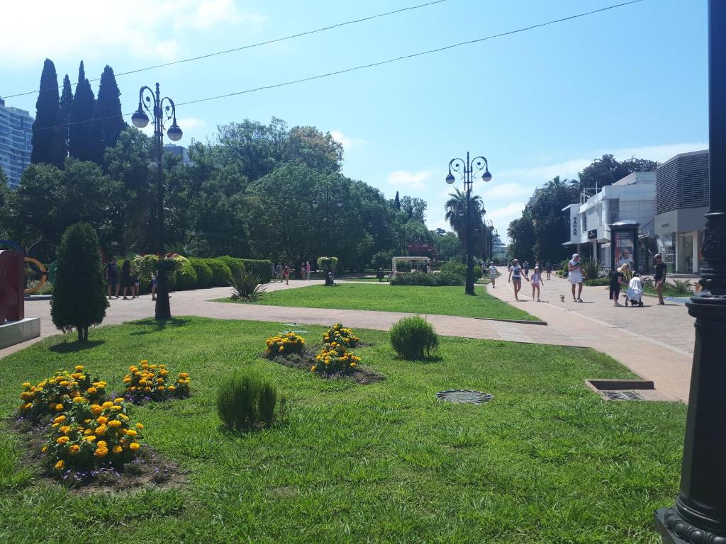 photo1