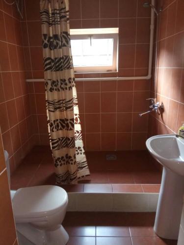 photo6