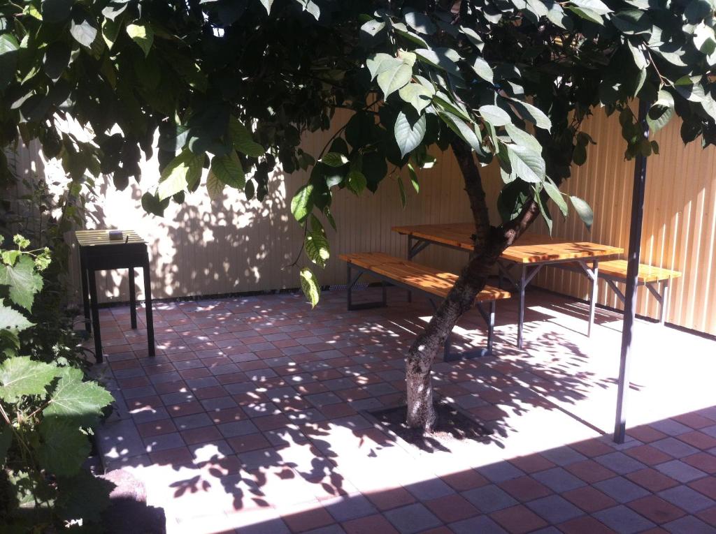 photo5