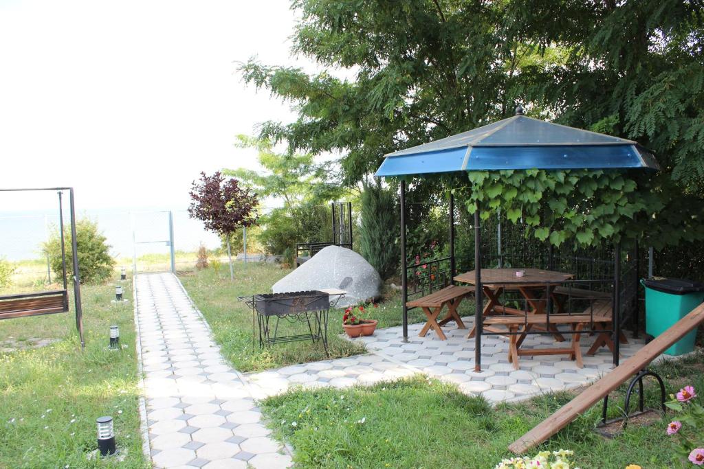 photo1