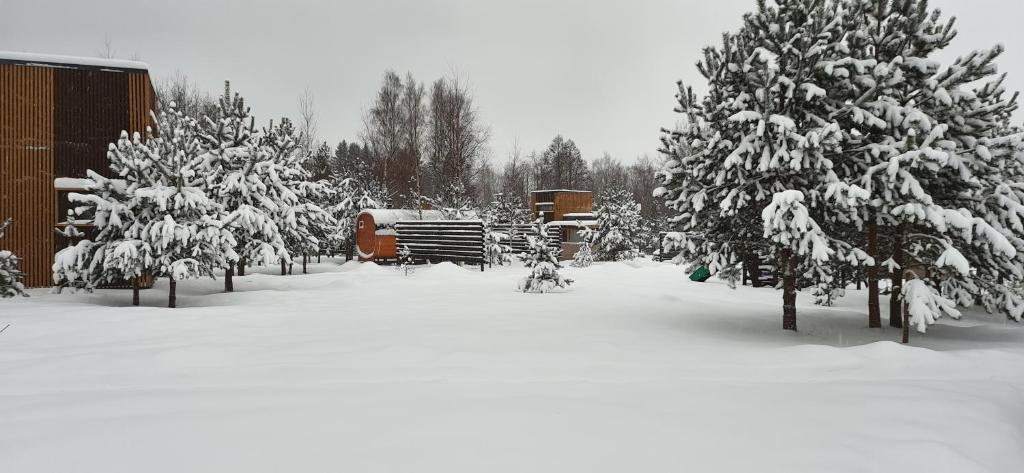 photo6