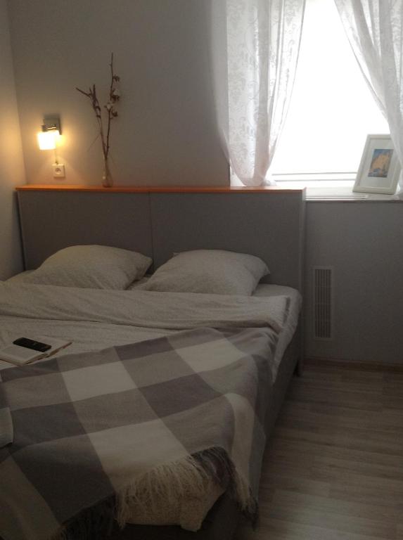 photo5