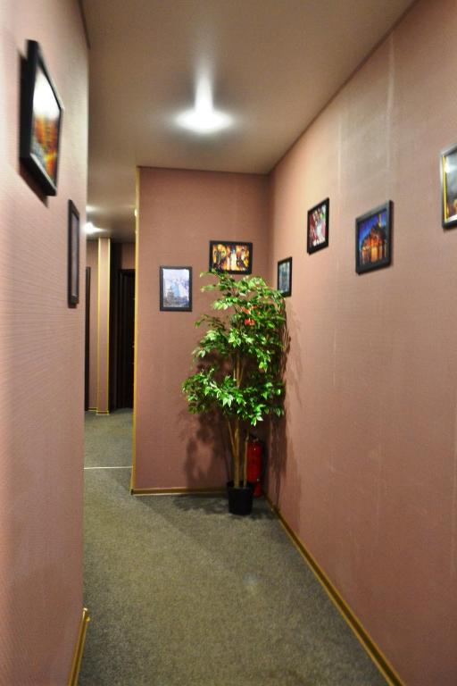 photo6