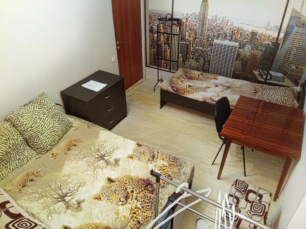 photo6