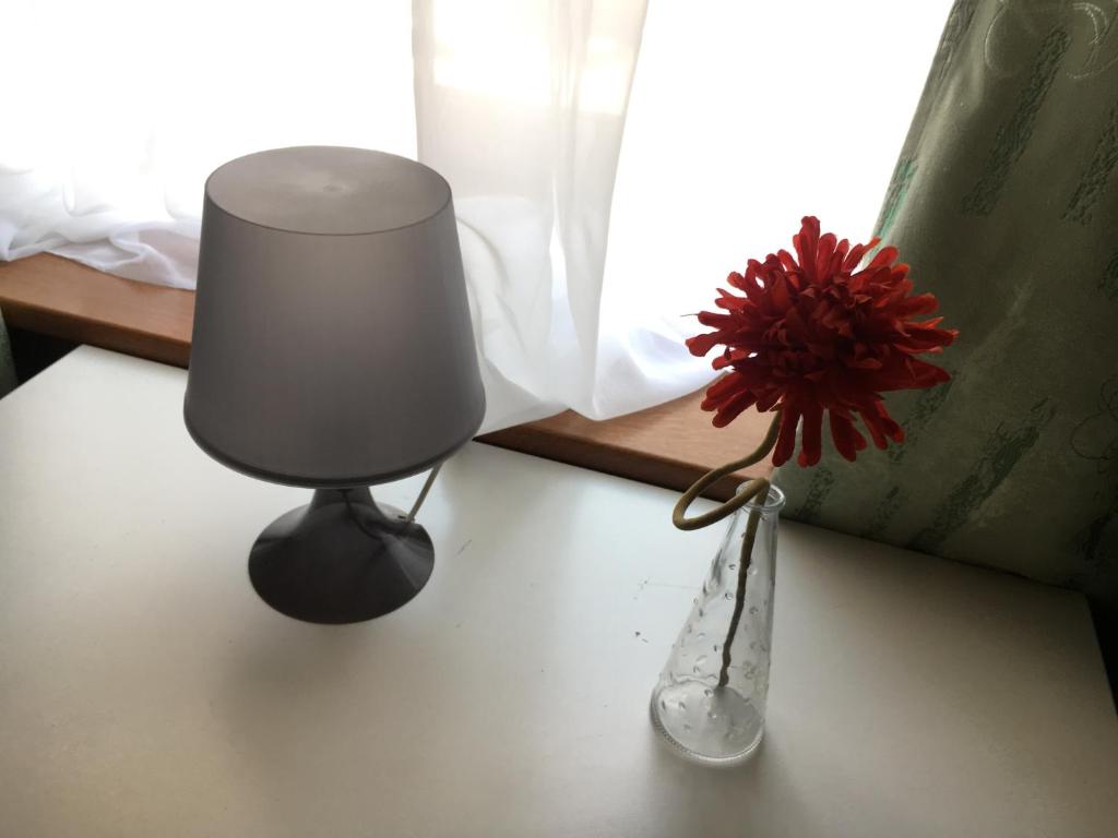 photo6
