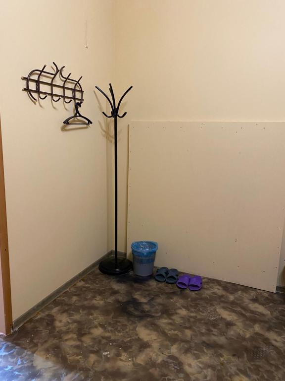 photo6