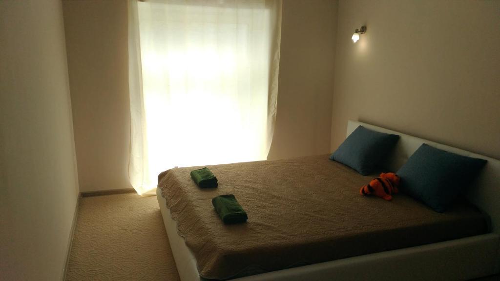 photo1