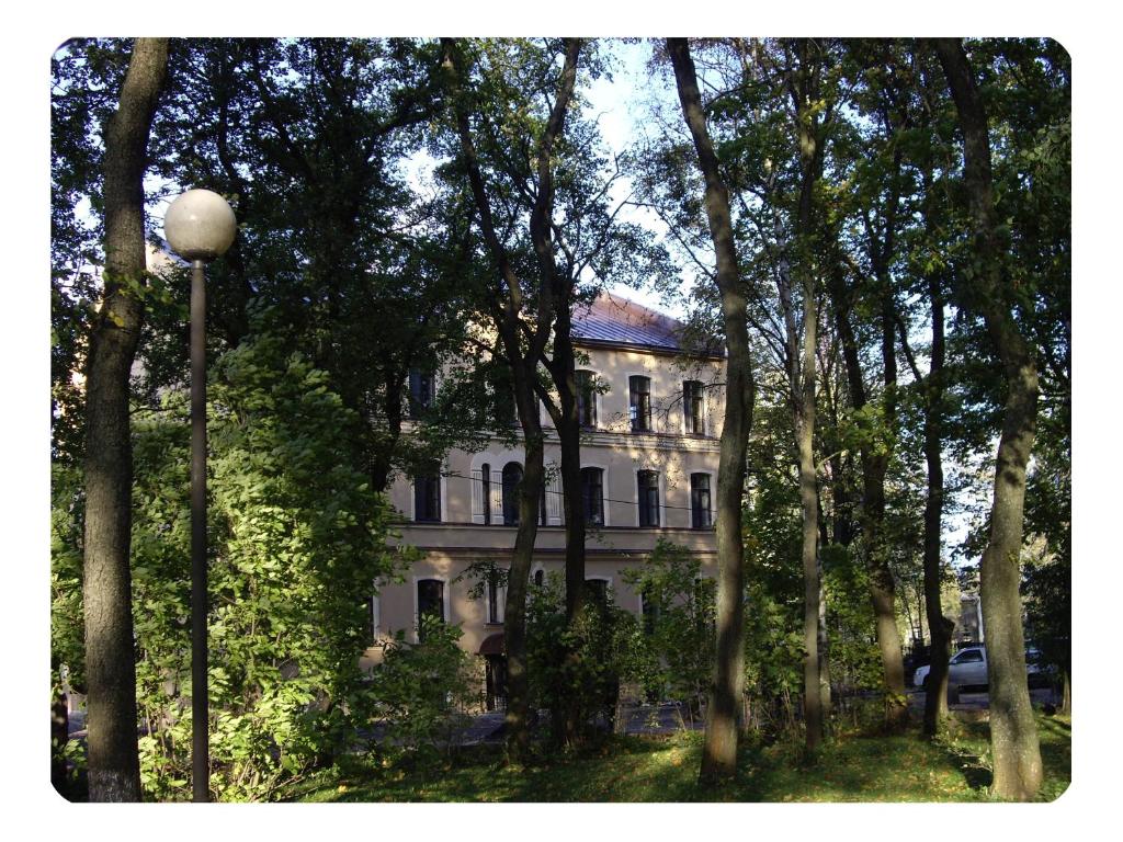 photo6