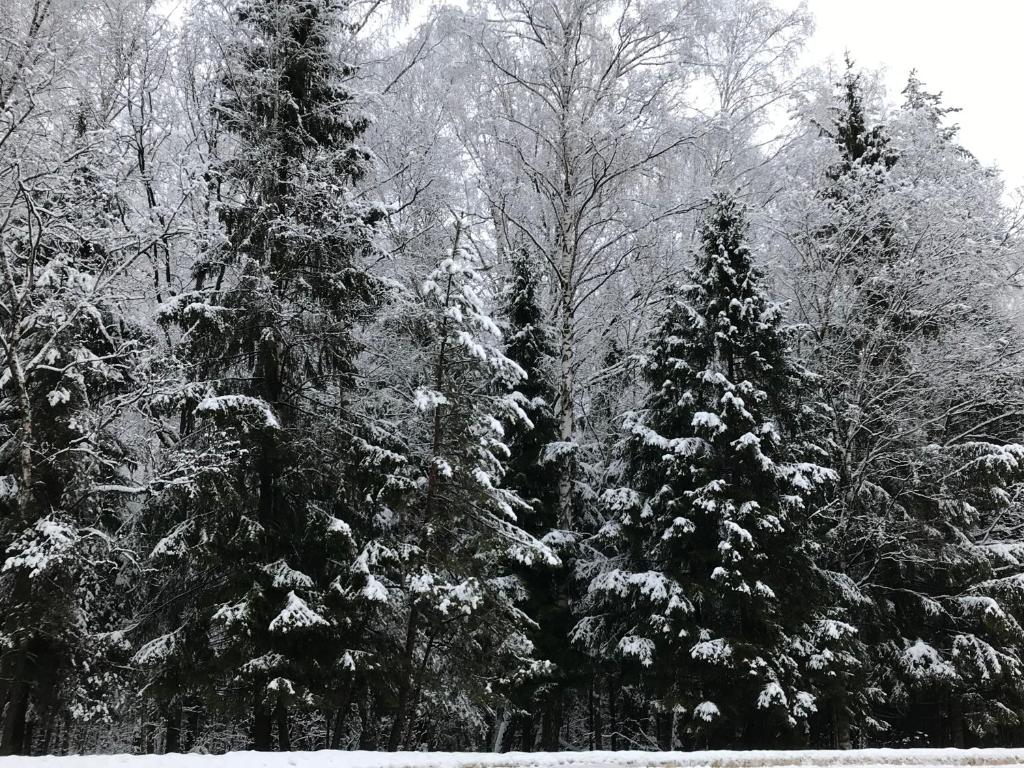 photo5
