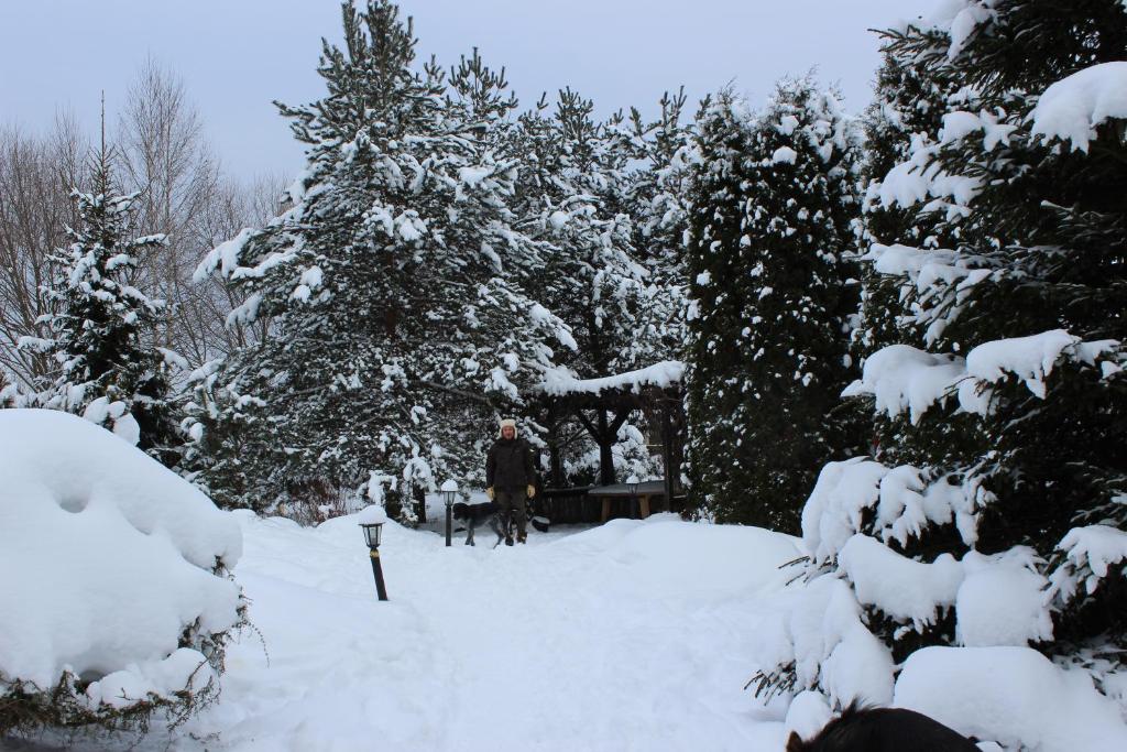 photo6