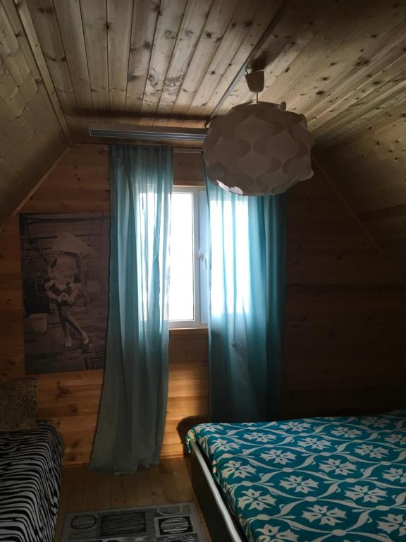 photo6