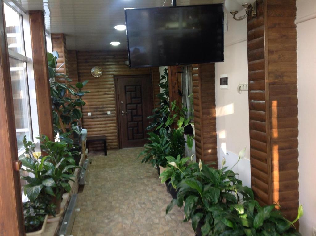 photo6