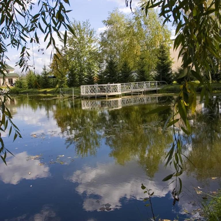 photo6