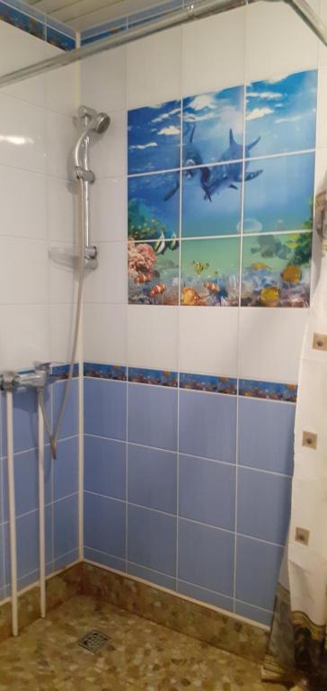 photo1