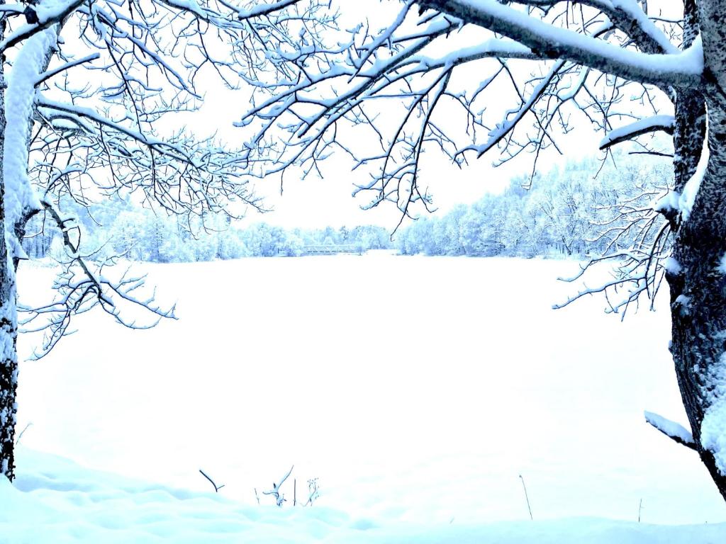 photo6