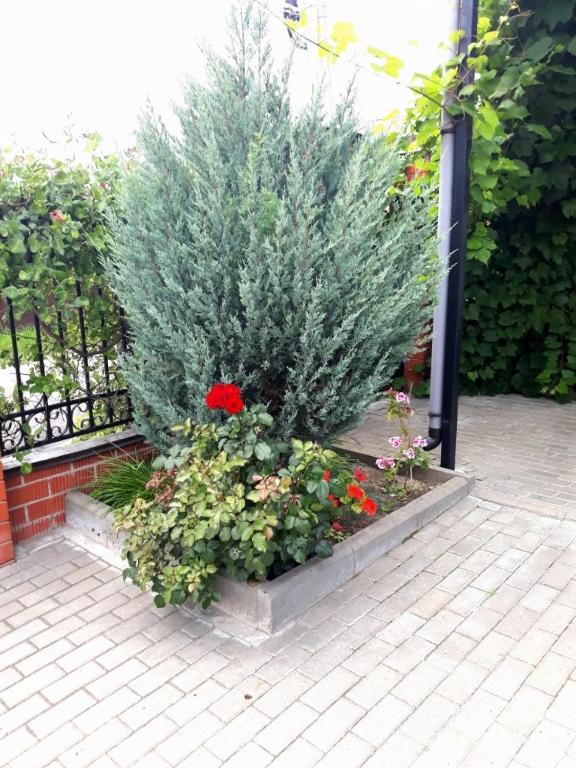 photo6