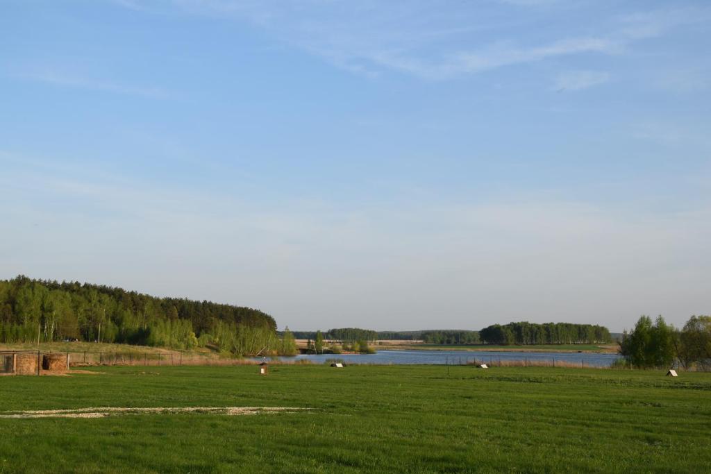 photo6