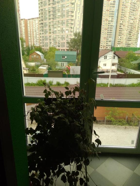 photo6