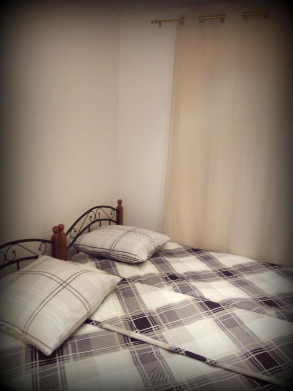photo5