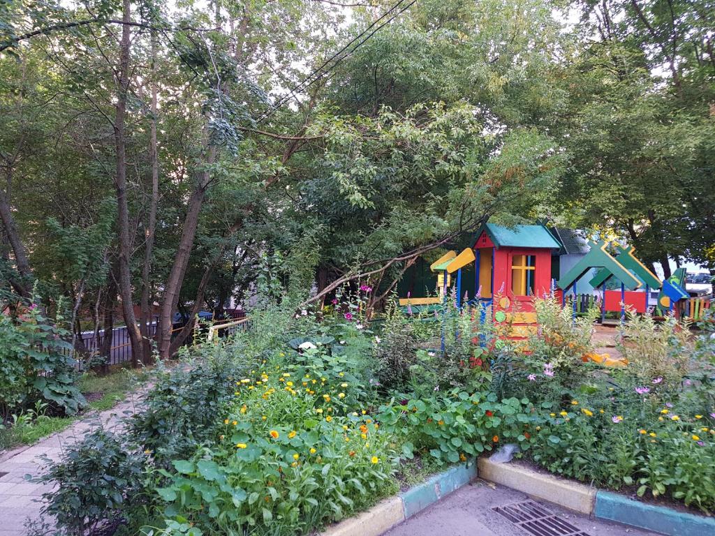 photo5