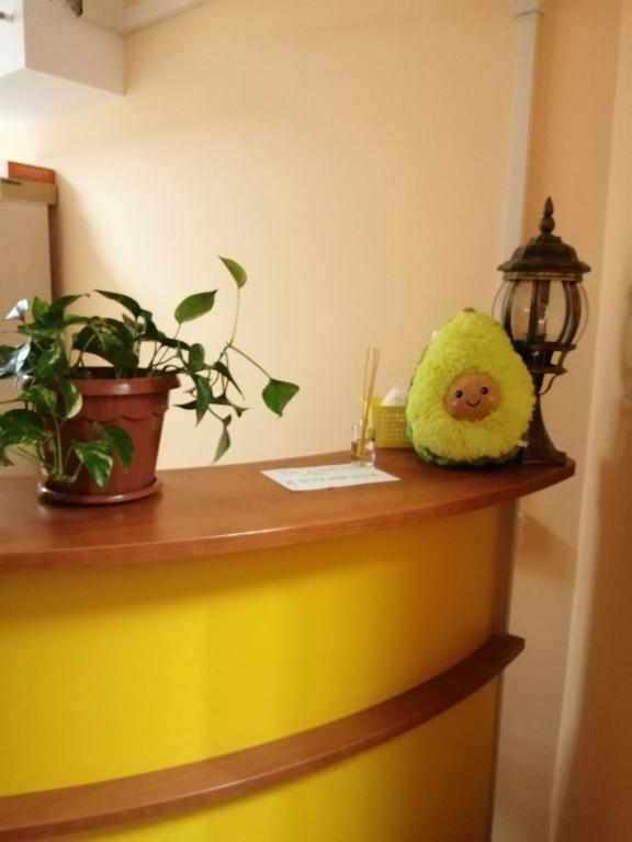 photo6