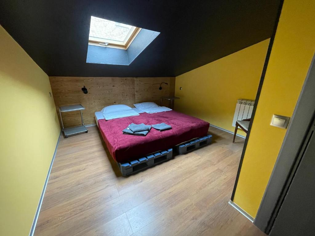 photo6
