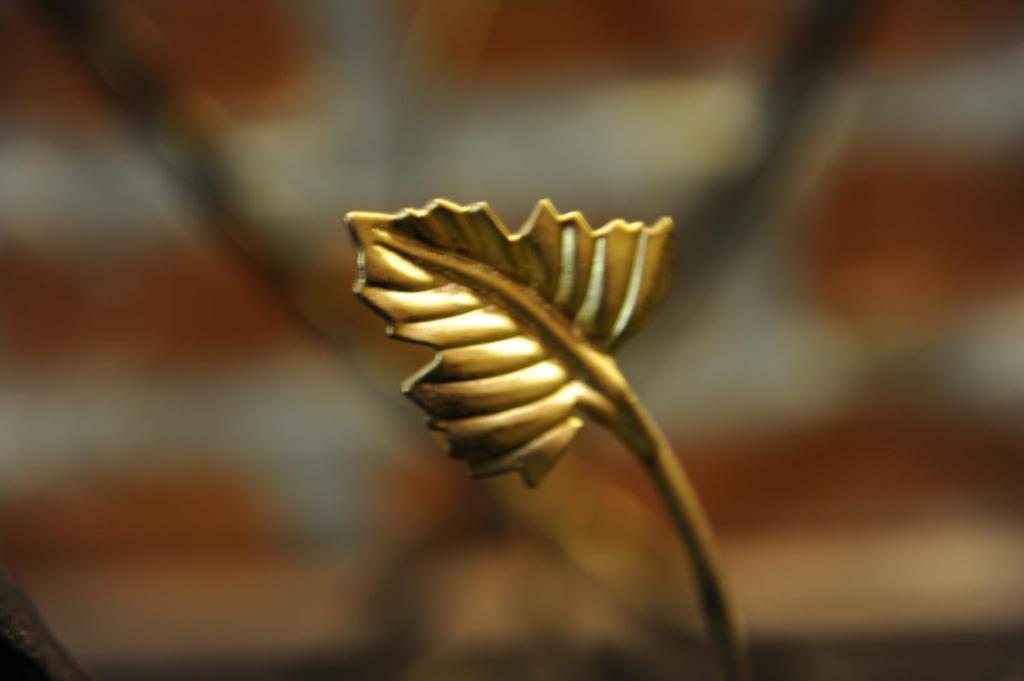 photo5