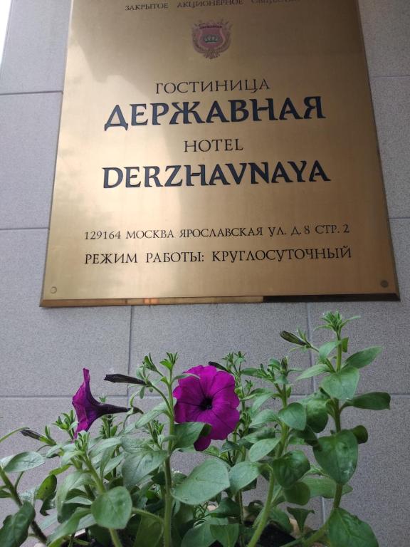 photo5