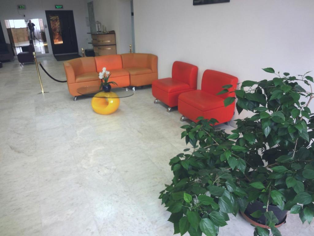 photo6
