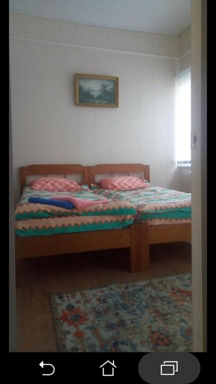 photo2