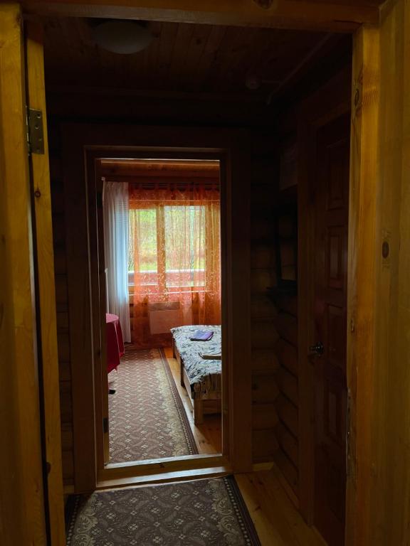 photo6